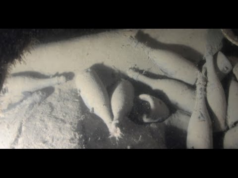 What Does 170-Year-Old Champagne Taste Like