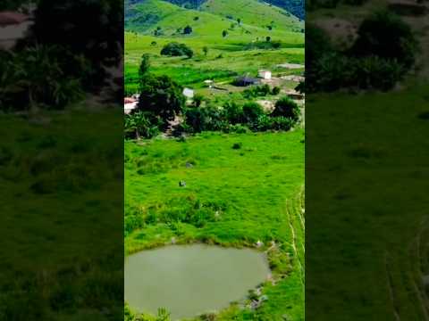 Olha Essa Fazenda em Minas 😱 7 Represas, Rio e Produção de Leite! 33.99902.8393 WHATSAPP