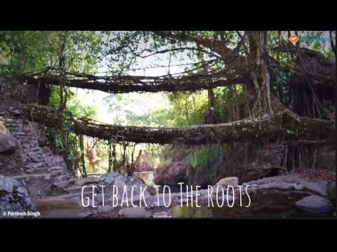 Travelyaari - Book Bus Tickets Video