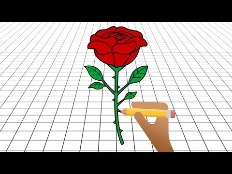 How to Draw Flowers Video