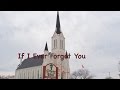 If I Ever Forget You 