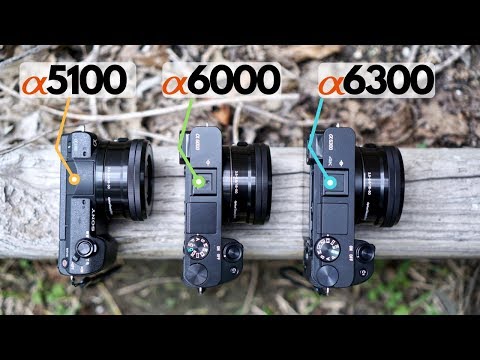 A5100 vs A6000 vs A6300: A Practical Comparison