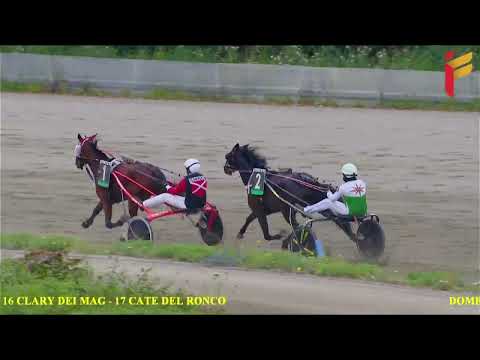 I Corsa del 8 Maggio 2022 - 4 Anni - Metri 1600