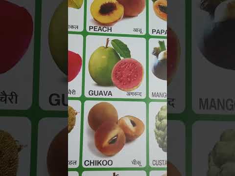 sandhya learning channel fruits name