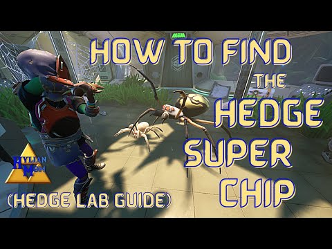 How To Find The Hedge Super Chip (Hedge Lab) | Easy Grounded Guides