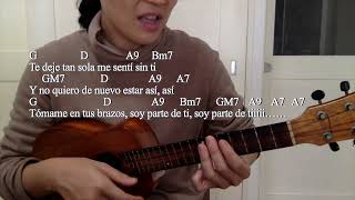 Mi Sol / Jesse &amp; Joy / ukulele cover / The lyrics  and chords