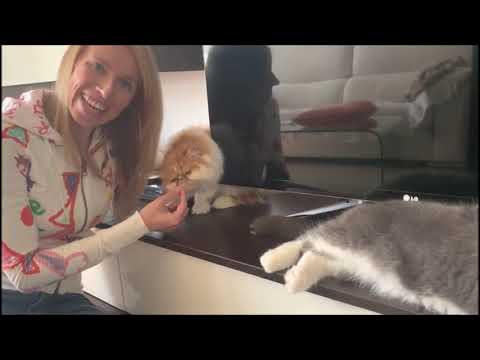 Quédate en tu casa ESO