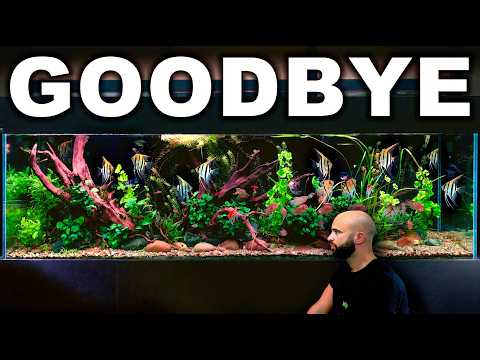 Odsysanie wody odkurzaczem Karcher