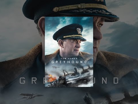 Greyhound