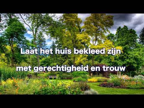 Opwekking 623 Laat het huis gevuld zijn VV