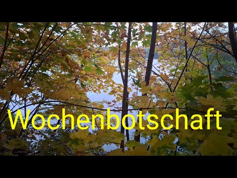 Eine sehr intensive Woche...🫣 Wochenbotschaft 21.10.-27.10.2024