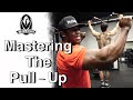 Master the Pull-Up to Master your Back!
