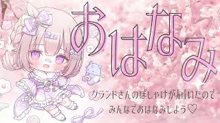 【 #ゆらいぶ 】レモンのぽしゃけ🍋で一緒にお花見しよう🌸🫧【 #夢眠ゆらめ 】