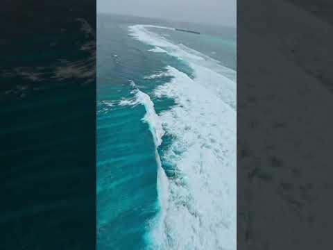 നീല കടലിൻ്റെ ബങ്ങി കാണണമെങ്കിൽ ലക്ഷദ്വീപ് വരണം