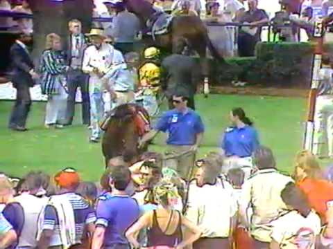 Regal Intention v Regal Classic - 1988 Queen's Plate