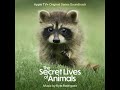 The Secret Lives Of Animals End Credits Kyle Rodriguez