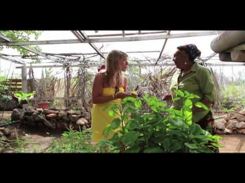 Learn from Dinah Veeris at her Garden