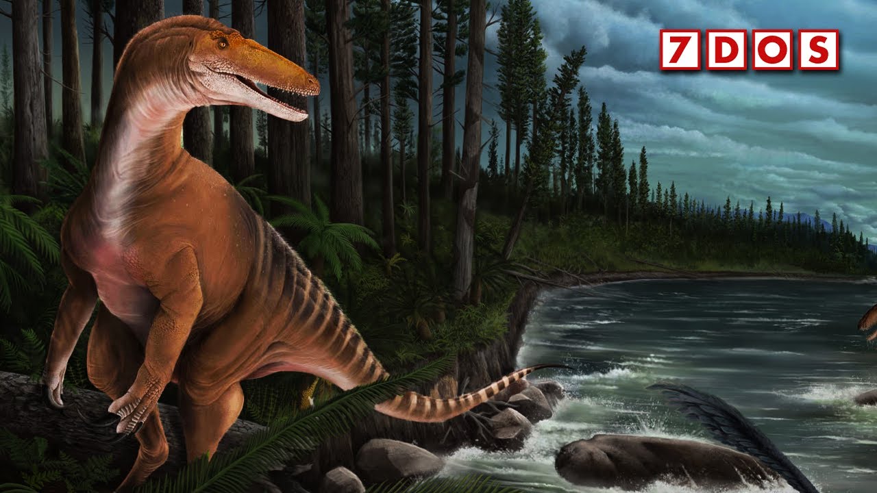 An Ancient Megaraptor Has Been Discovered in Australia | 7 Years of Science