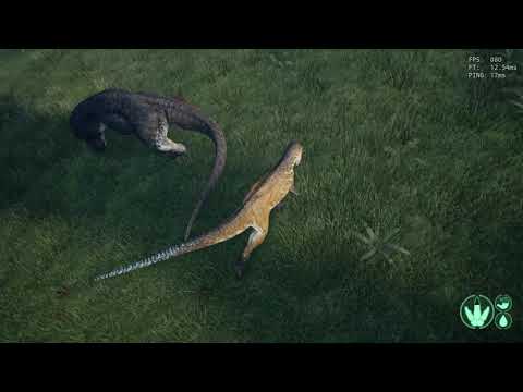 How to do the Allo Juke - Allo Rex 1v1 || The Isle Gameplay