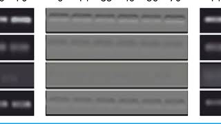 Download lagu 39780822C822692CC6BA7FCE7484C7#1 mp3