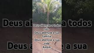 #fé #deustemumapalavrapravoce #oração #jesus