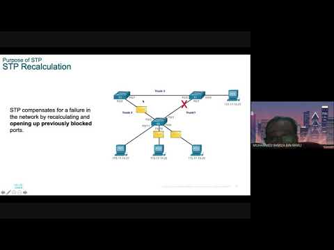 Module 5: Stp Concepts
