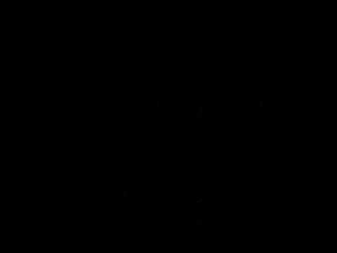 Valley Forge Video 3