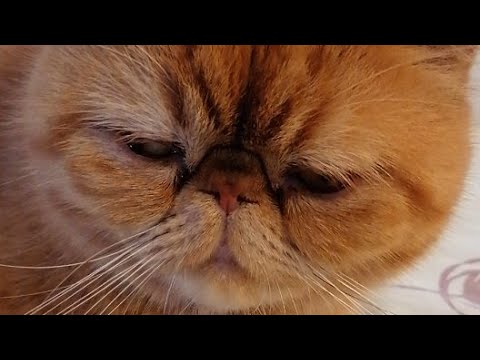 Ghen Ginalyn is going live!