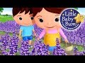 Lavender S Blue Dilly Dilly Nursery Rhymes For Babies By LittleBabyBum ABCs And 123s