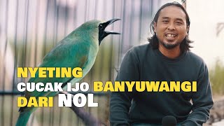 Download lagu NYETING CUCAK IJO BANYUWANGI DARI NOL mp3