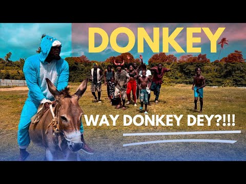 DONKEY- WAY DONKEY DEY?! ( OFFICIAL MUSIC VIDEO )
