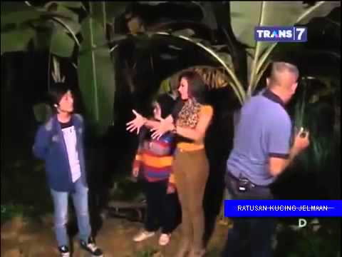 Mister Tukul Jalan Jalan 28 Maret 2015 FULL eps Ratusan Kucing Jelmaan