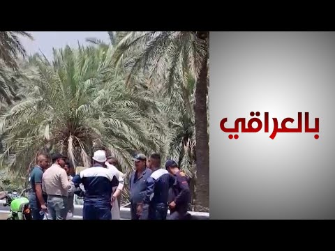 شاهد بالفيديو.. هل سيصبح الصيف البارد حقيقة؟