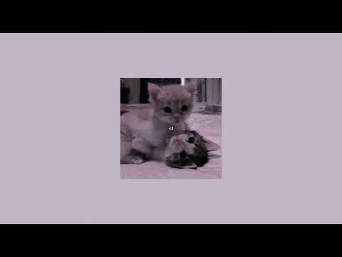 Arnon ft. Killua- Te molla (speed up)