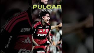 Pulgar Flamengo fez golaço #shorts✅