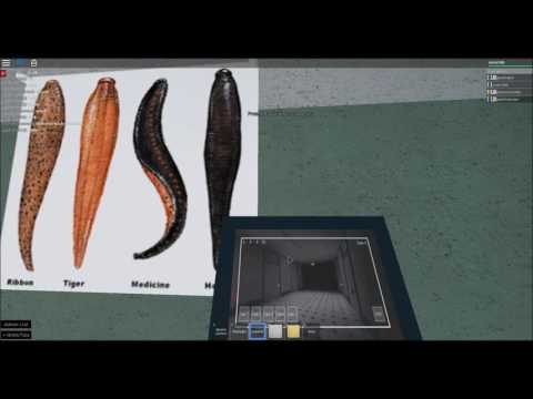 2016 ROBLOX Halloween Marathon - Episode 3 - Ghost Hunt: The Asylum