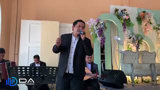 Download lagu LEBAH BEGANTONG ft DHIEFA AUDIO | PUSARA KASIH mp3