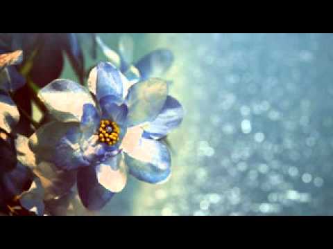 0943 Oriental - Tomaz Lima - Homem de Bem - Alegria