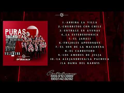 La Banda Que Hacia Falta - Puras Tocaditas Que Hacian Falta Vol.1 (2019)