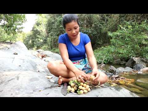 Survival skills: Finding food meets naturally wild fruits.Fruits are tasty Video