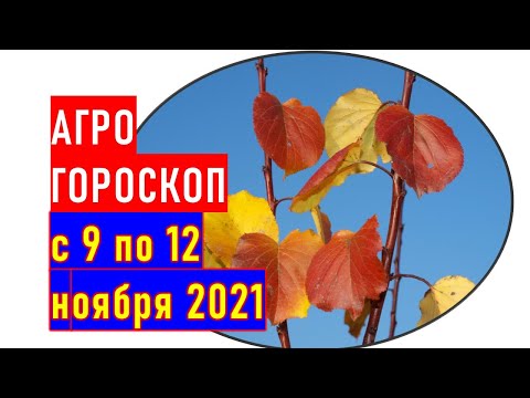 , title : 'Агрогороскоп с 9 по 12 ноября 2021 года'