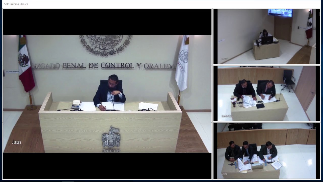 Audiencia inicial, auto de no vinculación a proceso.