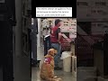 Lowe S Hires Veteran And His Dog