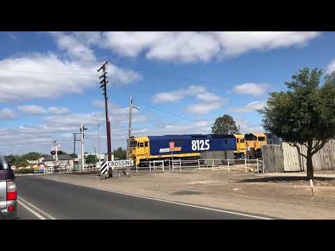 Pacific National 8125 , XR558 , X50 & G540 Grain Train heading to Geelong Terminal to unload :