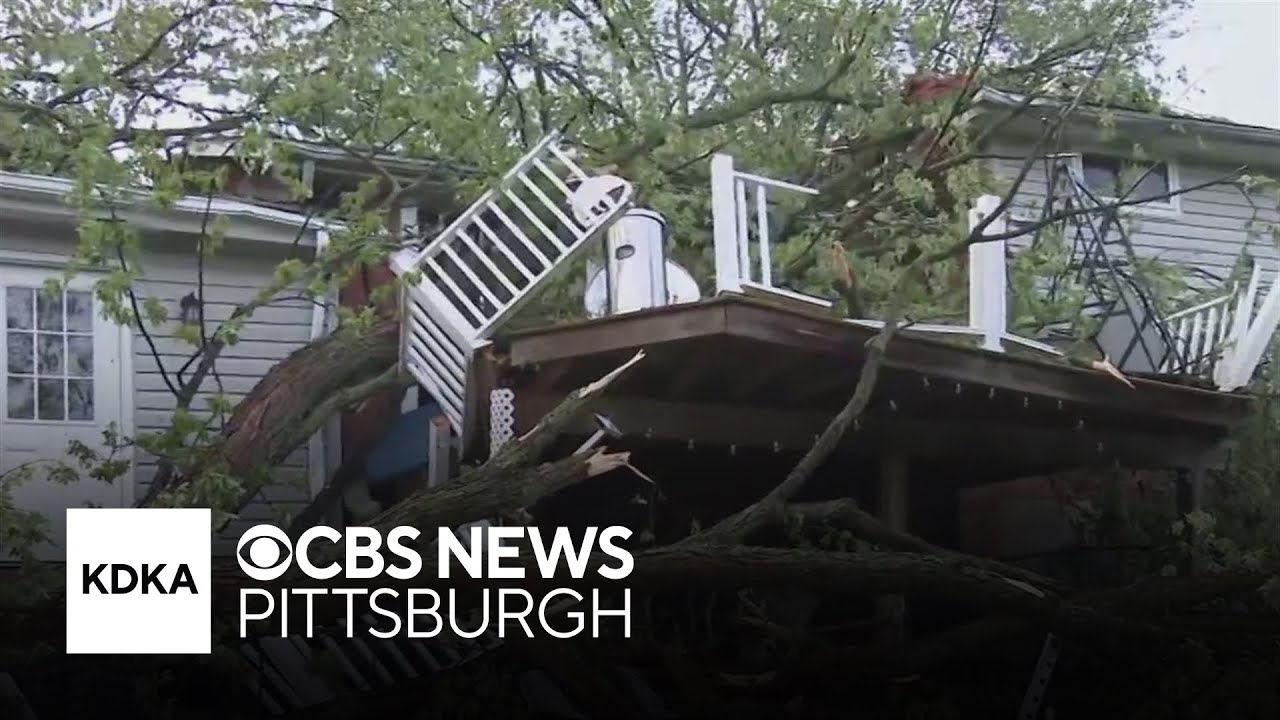 Trees cause serious damage to home in Pittsburgh area