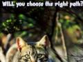 Warrior Cats Crush