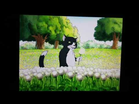 Cat - The Dandelion Wish