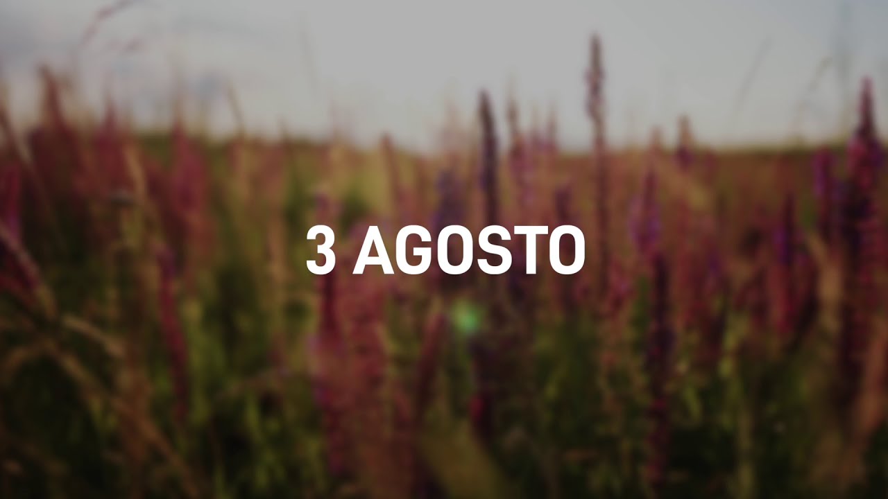 3 Agosto 2025 | Meditazione Parole di Vita