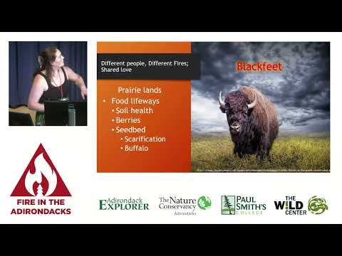 Indigenous Perspectives on Forest Fire - Jade Haumann