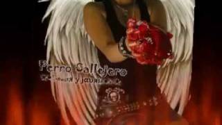 perro callejero - muñequita....MMS.....)&quot;;|:&quot;)...